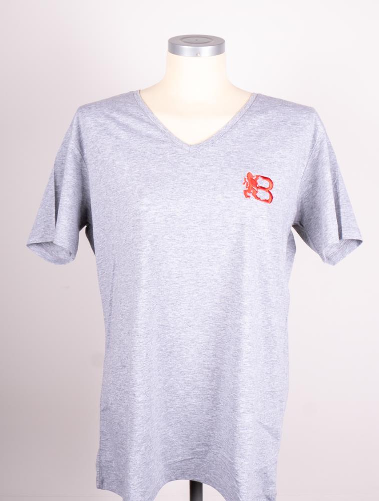 Bawarrion V-Neck T-Shirt Grey - Size S